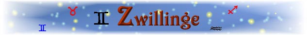 Banner Zwilling